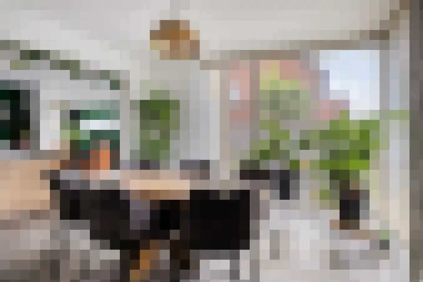 Burg. Weimalaan 20 Nijeveen thumbnail 26