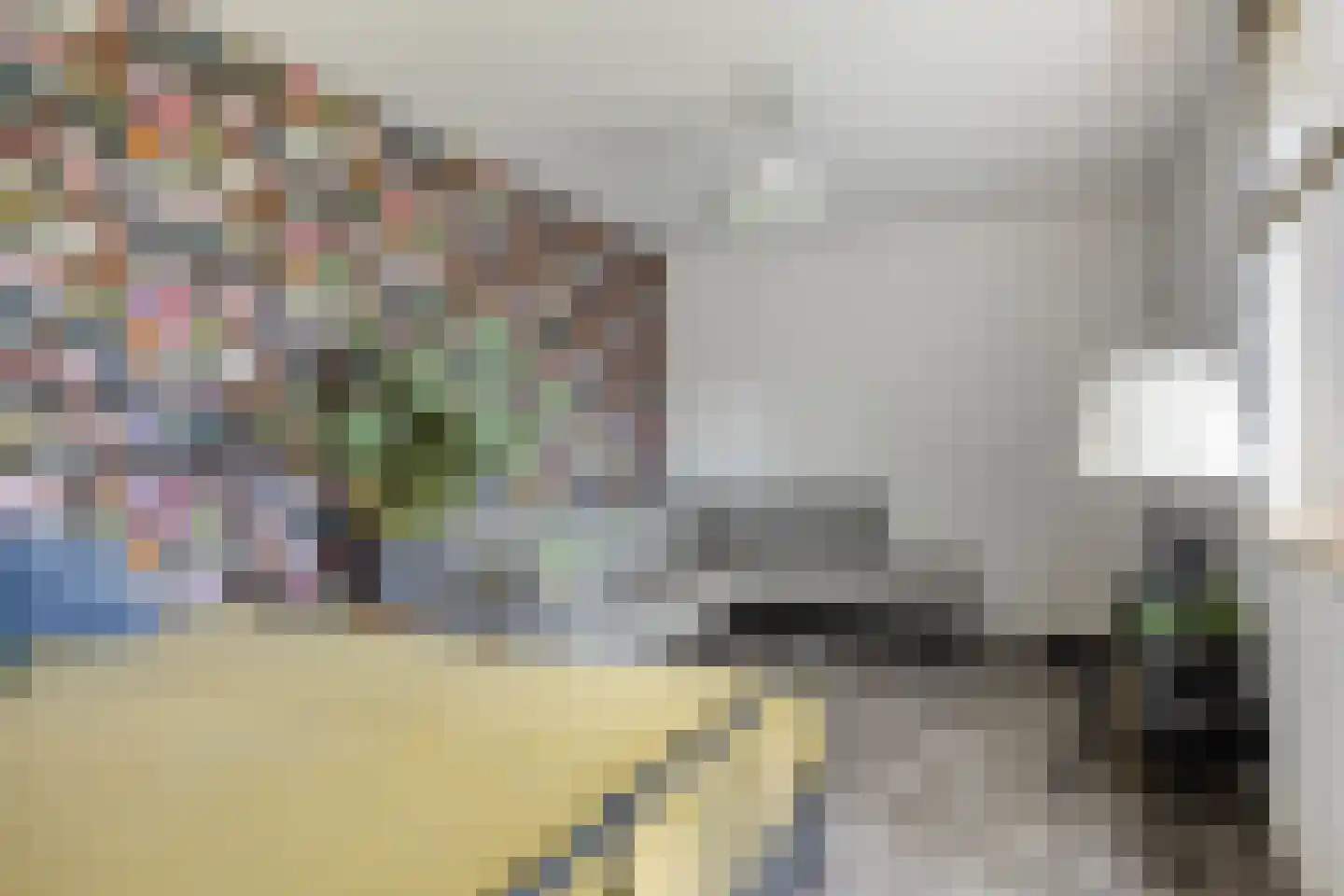 Burg. Weimalaan 20 Nijeveen thumbnail 29
