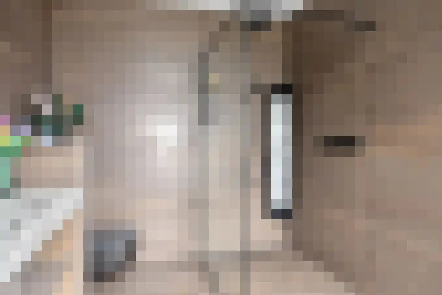 Burg. Weimalaan 20 Nijeveen thumbnail 31