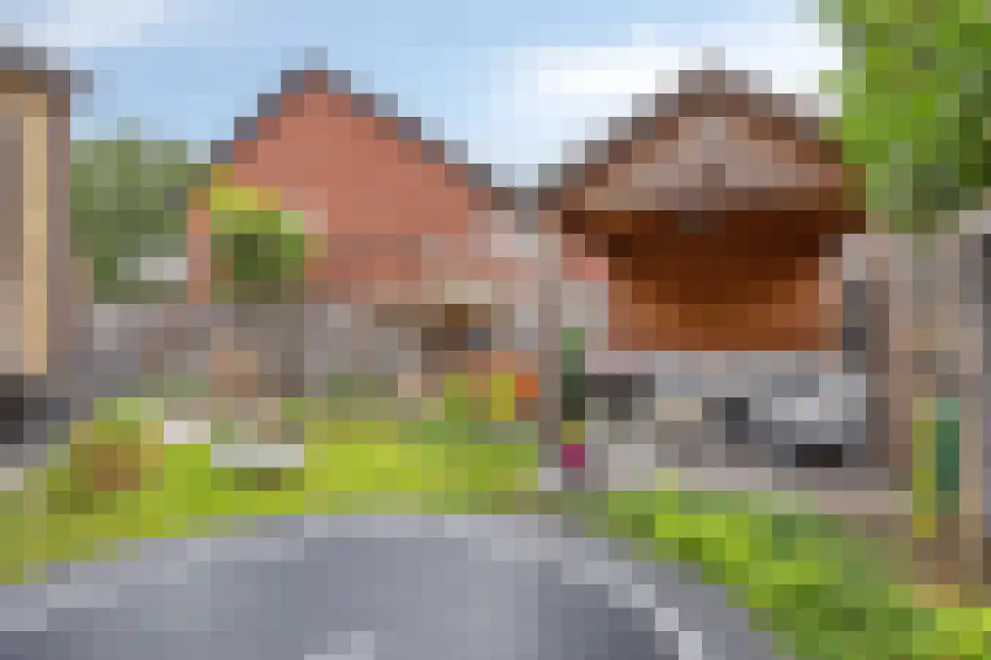 Burg. Weimalaan 20 Nijeveen thumbnail 53