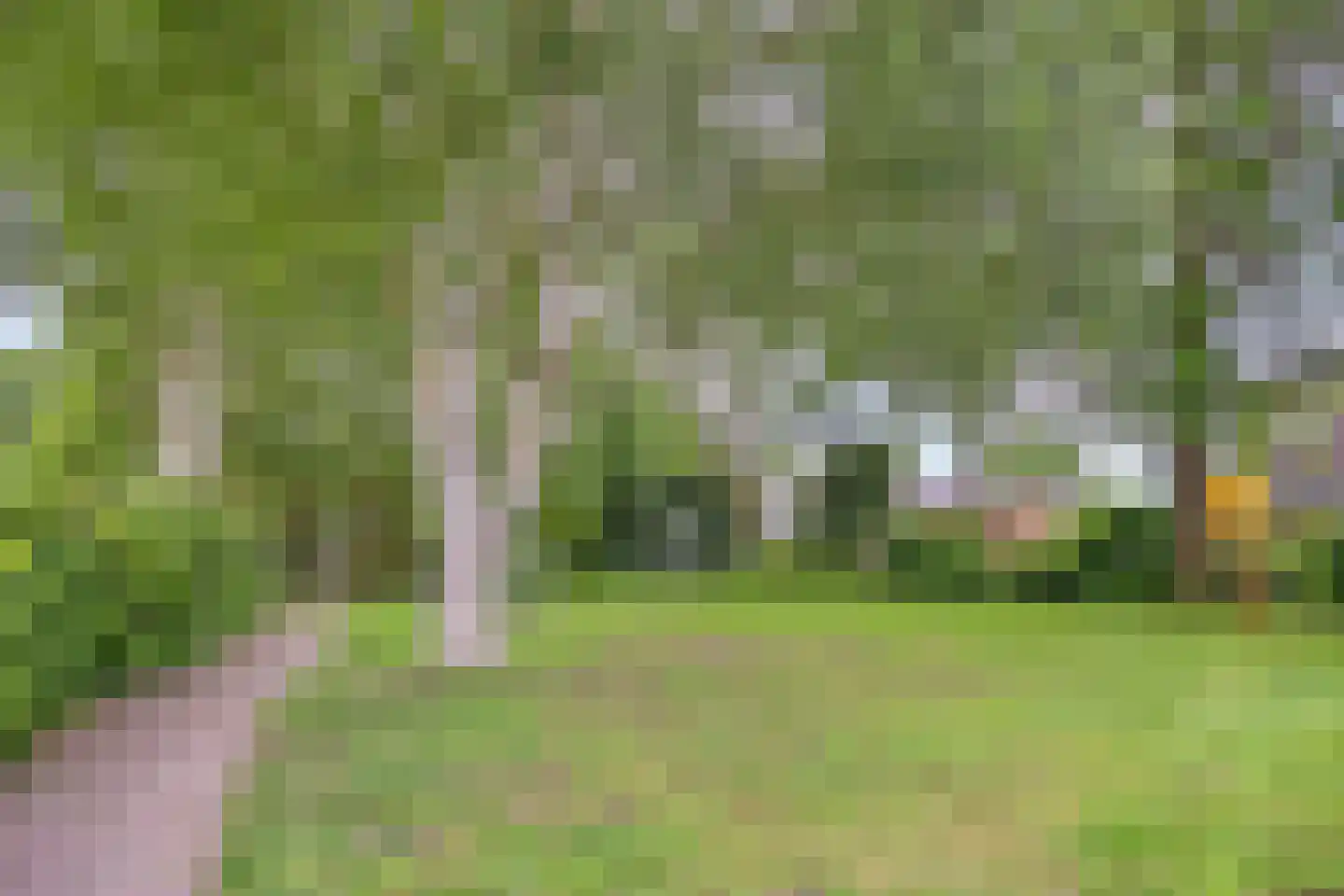 Burg. Weimalaan 20 Nijeveen thumbnail 60