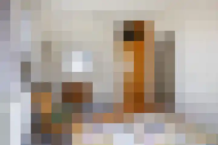 Burg. Wiersumstraat 7 Eenrum thumbnail 19