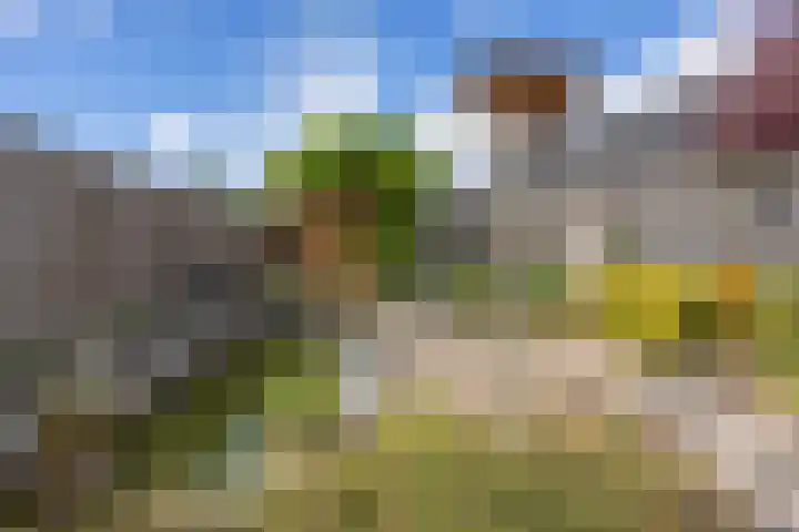 Burg. Wiersumstraat 7 Eenrum thumbnail 24