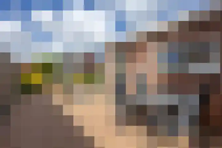 Burg. Wiersumstraat 7 Eenrum thumbnail 28