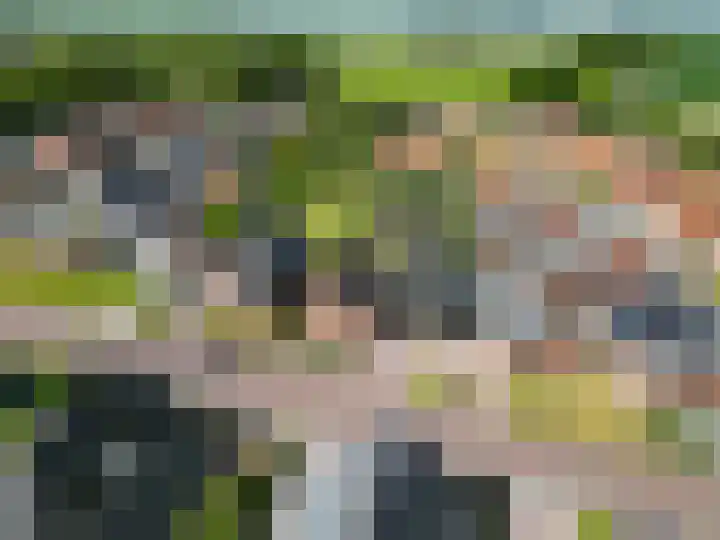 Burg. Wiersumstraat 7 Eenrum thumbnail 29