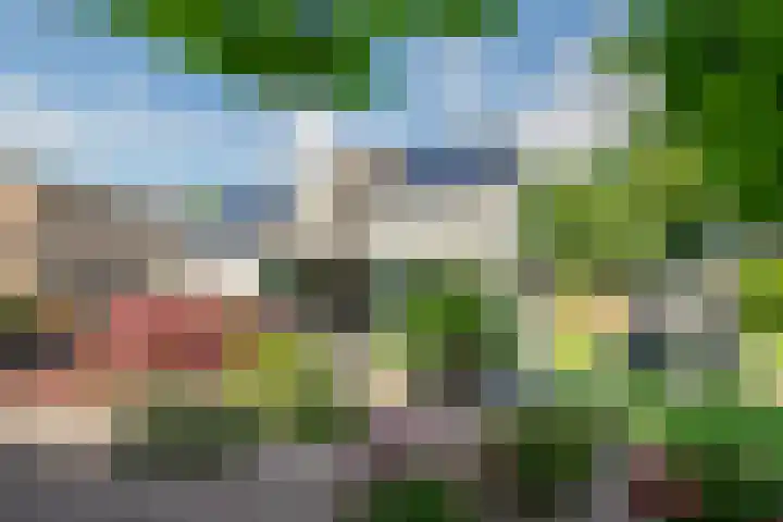 Burg. Wijnandsstraat 59 Eijsden thumbnail 22