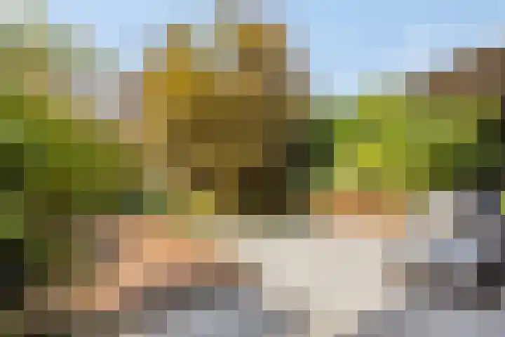 Burg. Wijnandsstraat 68 Eijsden thumbnail 25