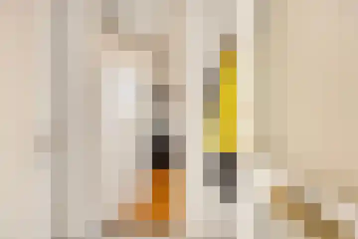 Burg. Wijnandsstraat 68 Eijsden thumbnail 4