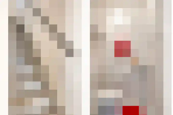 Burg. Wijnandsstraat 68 Eijsden thumbnail 5