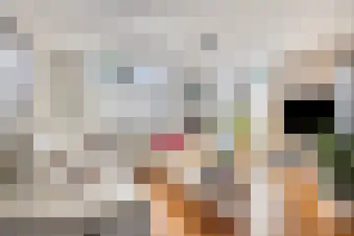 Burg. Wijnandsstraat 68 Eijsden thumbnail 6