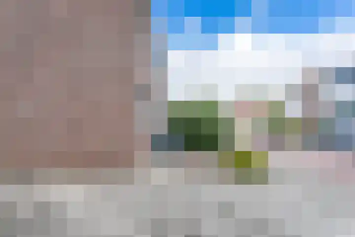 Burg. Willemsstraat 26 Hoensbroek thumbnail 36