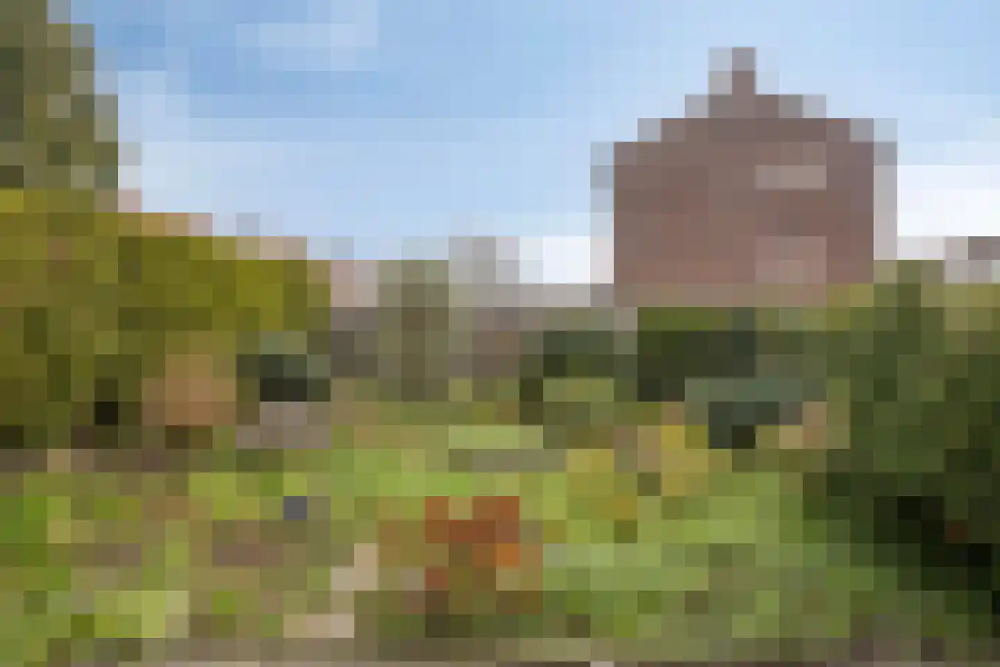 Burg. Willemsstraat 33 Hoensbroek thumbnail 26