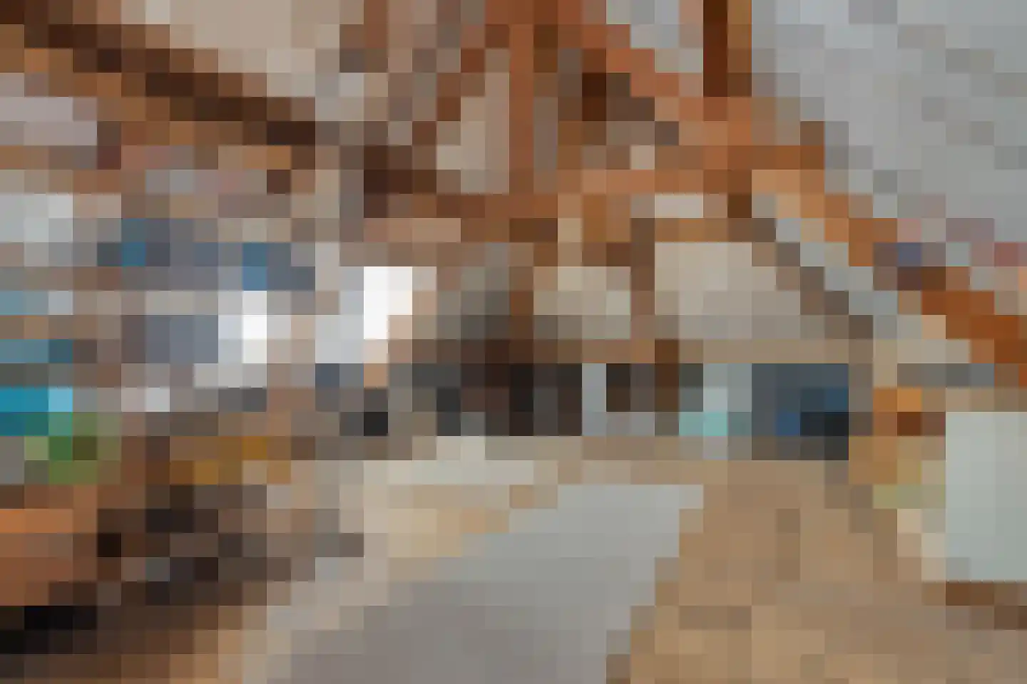 Burg.Woltersstraat 1 Gennep thumbnail 42