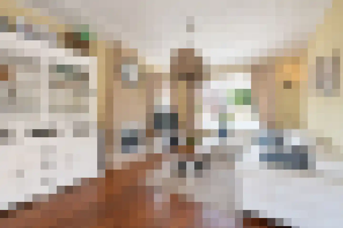 Burg. Woltersstraat 2 Heerewaarden thumbnail 5