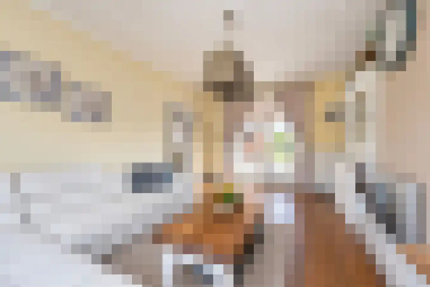 Burg. Woltersstraat 2 Heerewaarden thumbnail 7