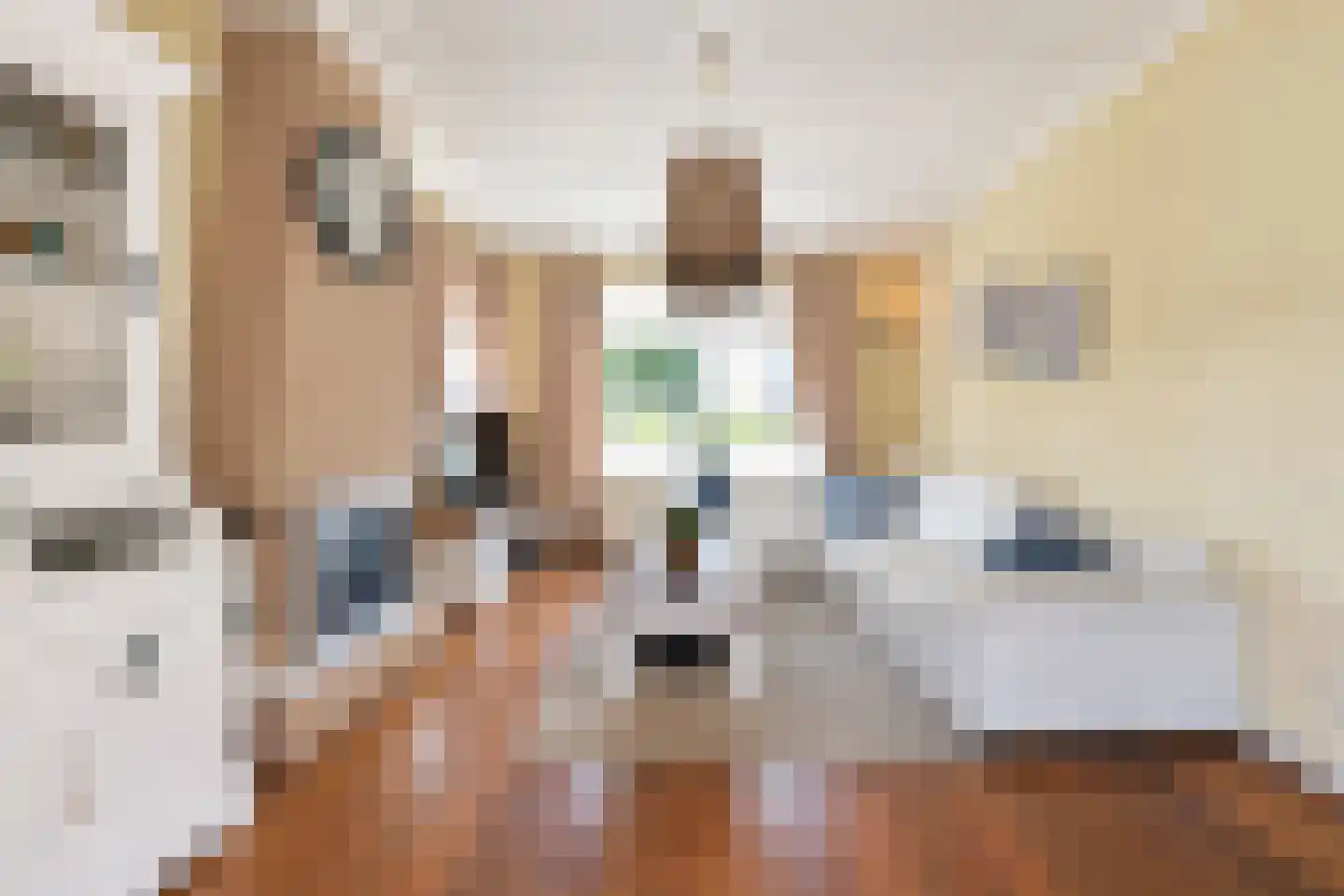 Burg. Woltersstraat 2 Heerewaarden thumbnail 8