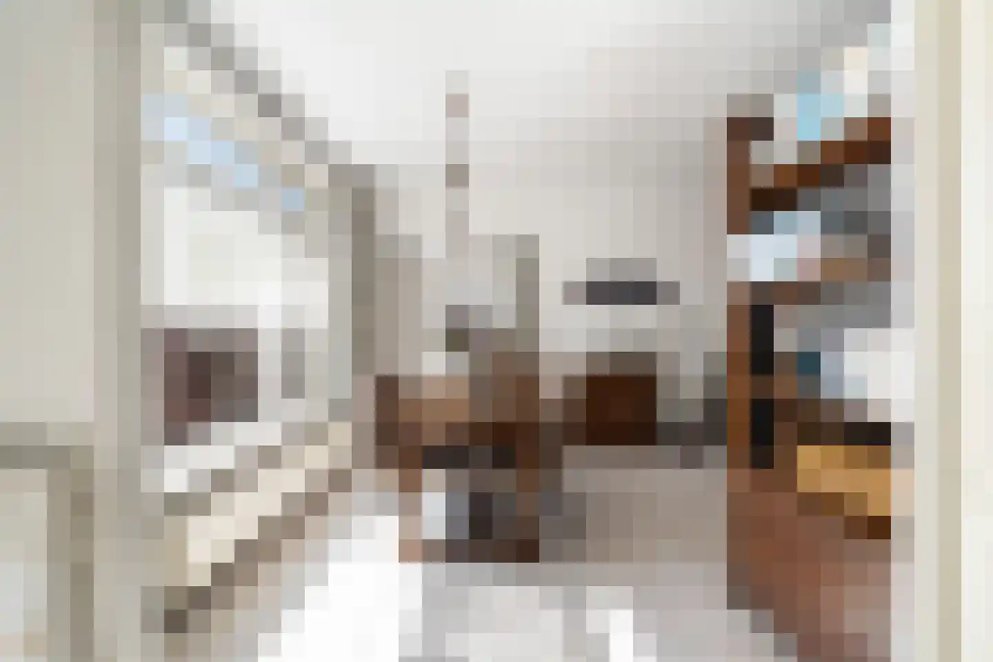Burg Woutersplein 4 Monster thumbnail 17