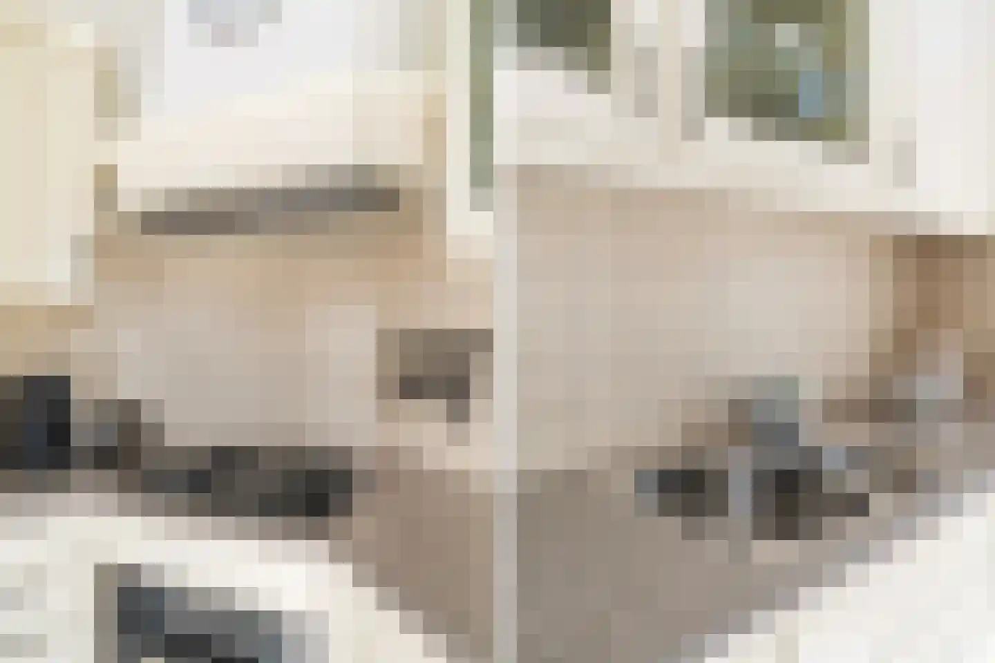 Burg Woutersplein 4 Monster thumbnail 20