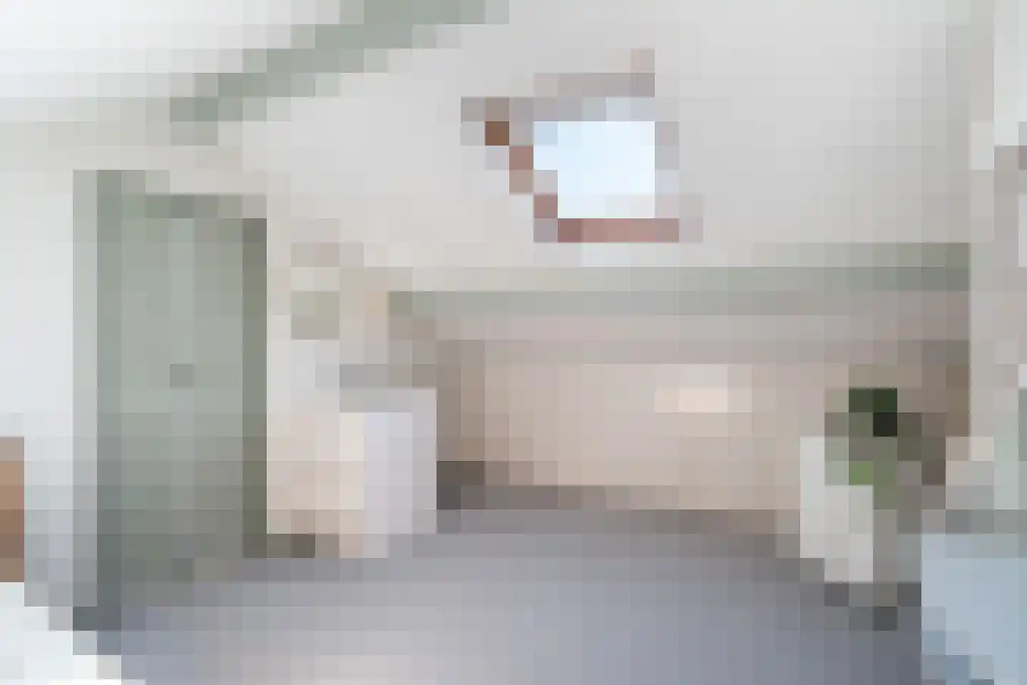 Burg Woutersplein 4 Monster thumbnail 41