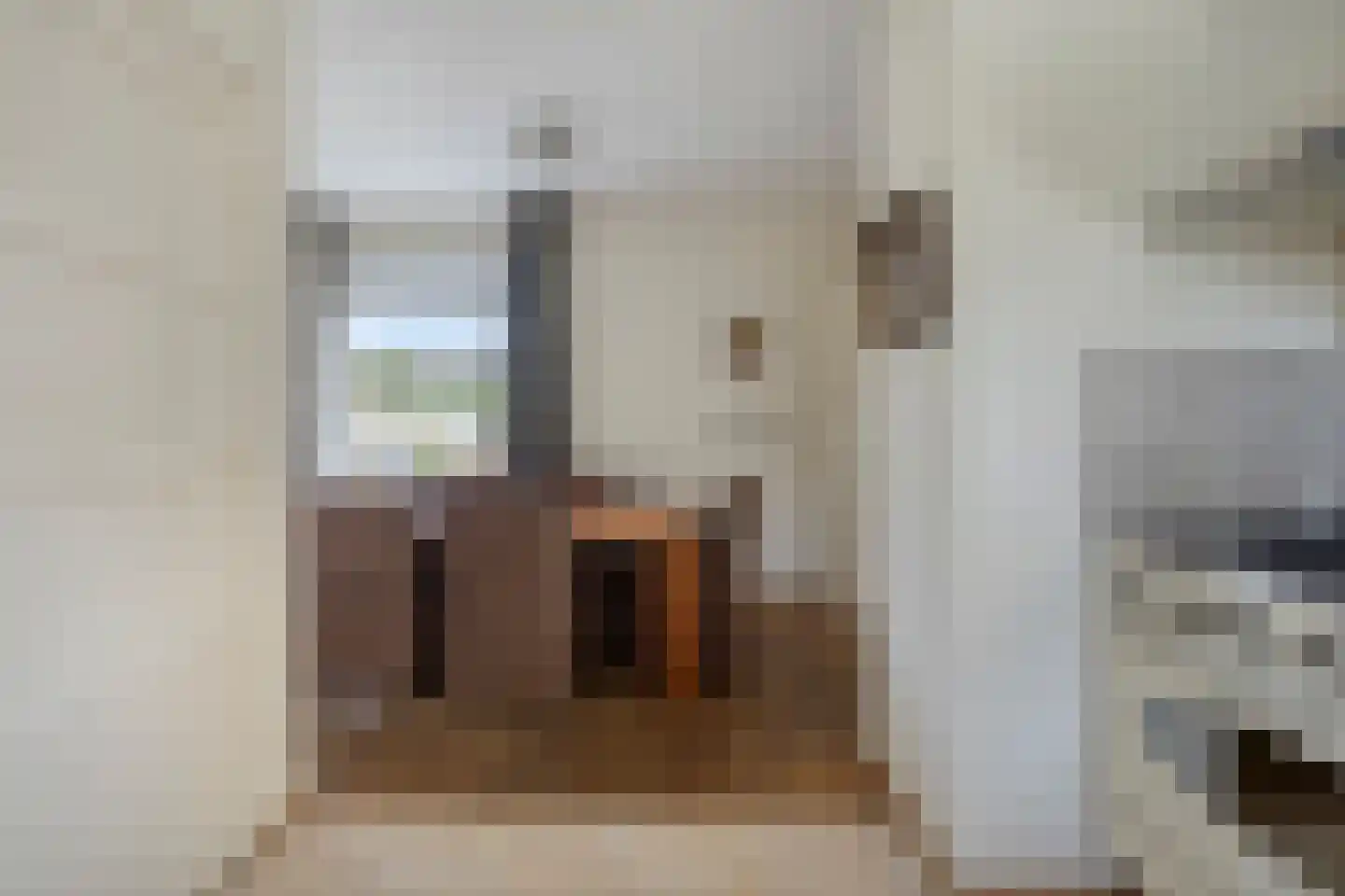 Burg. Woutersstraat 14 Beneden-Leeuwen thumbnail 14