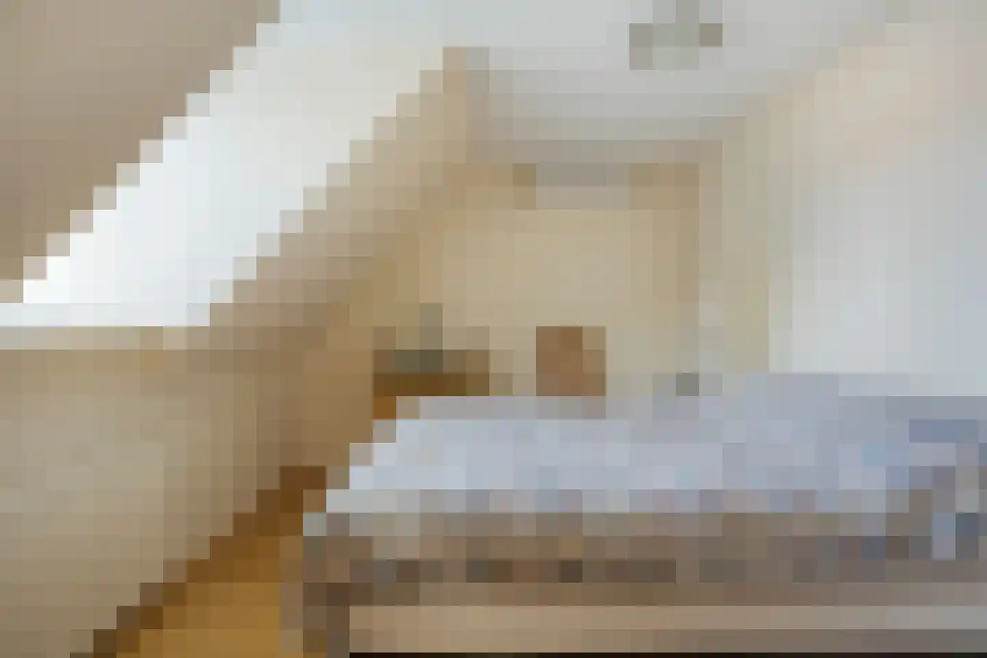 Burg. Woutersstraat 14 Beneden-Leeuwen thumbnail 20