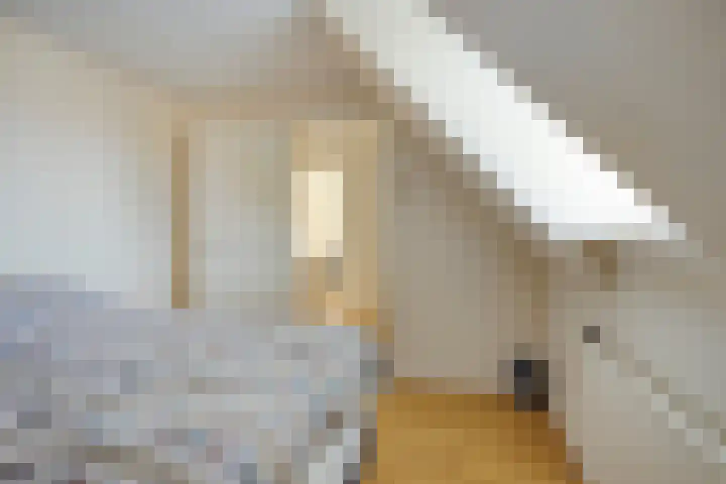 Burg. Woutersstraat 14 Beneden-Leeuwen thumbnail 21