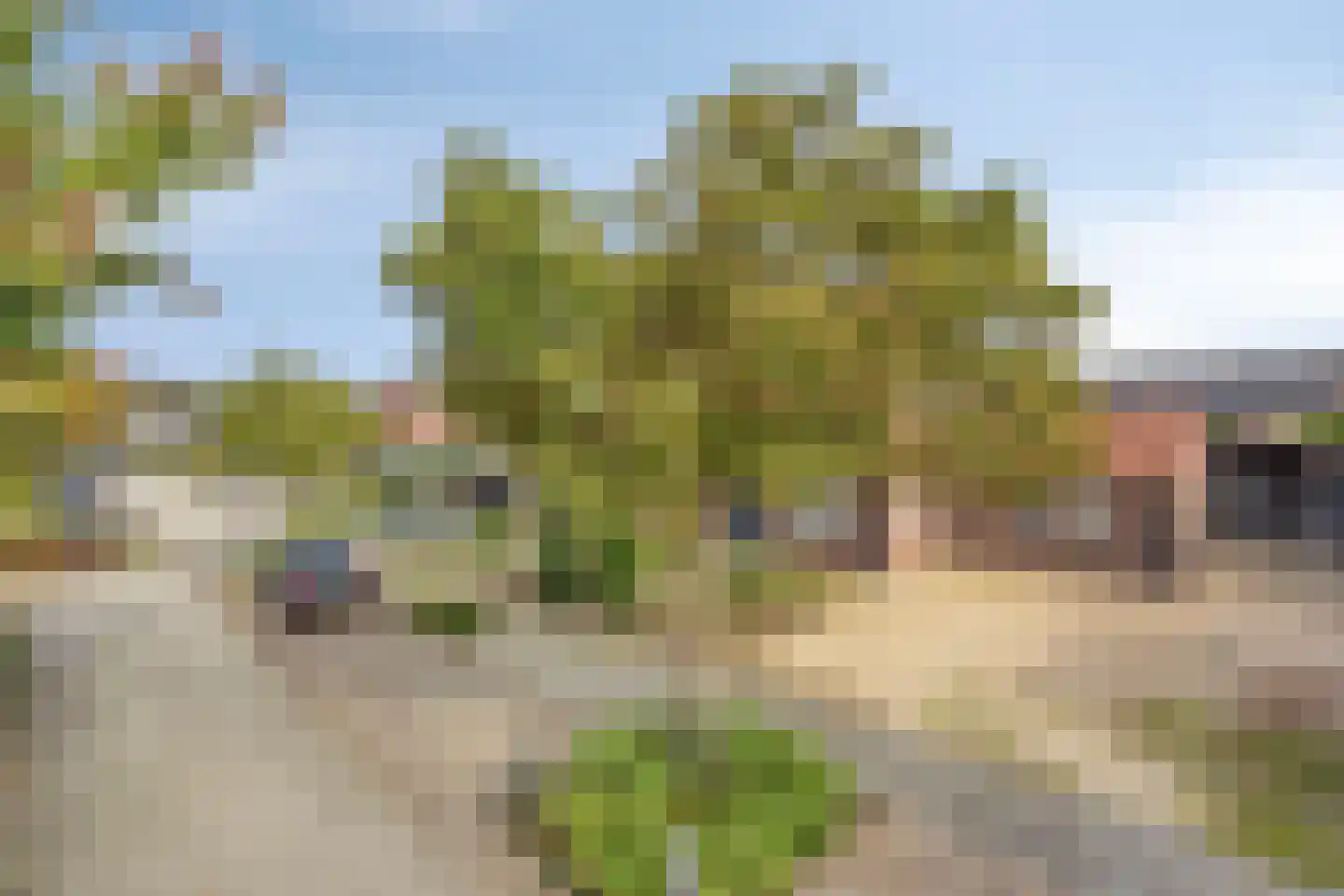 Burg. Woutersstraat 14 Beneden-Leeuwen thumbnail 37