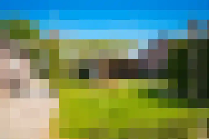 Burg. Woutersstraat 4 Beneden-Leeuwen thumbnail 24