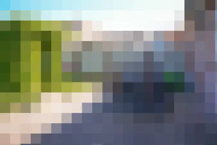 Burg. Woutersstraat 4 Beneden-Leeuwen thumbnail 25