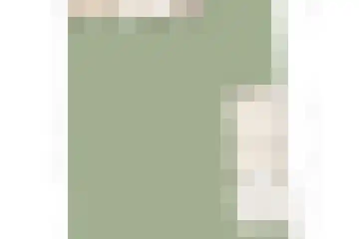 Burg. Woutersstraat 4 Beneden-Leeuwen thumbnail 39