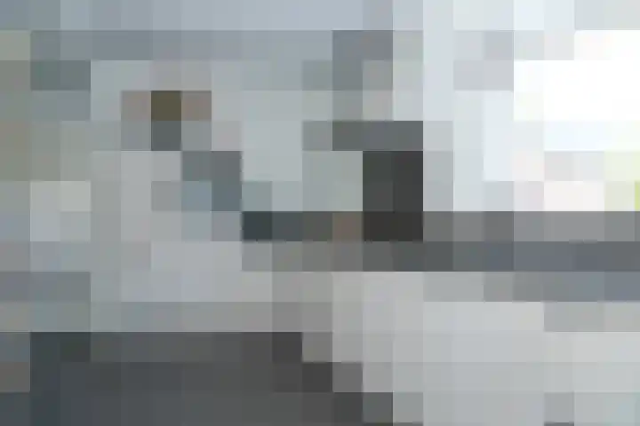 Burg. Woutersstraat 4 Beneden-Leeuwen thumbnail 6
