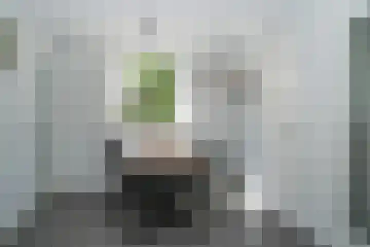 Burg. Woutersstraat 4 Beneden-Leeuwen thumbnail 9