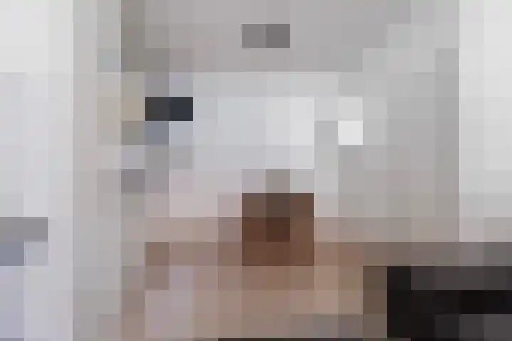 Burgakker 1 Boxtel thumbnail 12