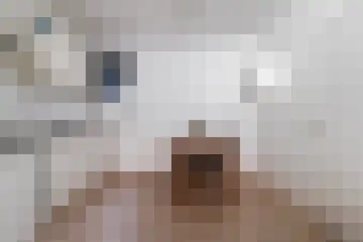Burgakker 1 Boxtel thumbnail 13