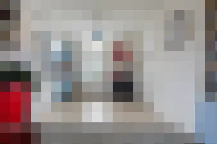 Burgakker 1 Boxtel thumbnail 21