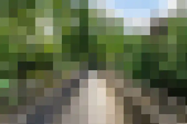 Burgakker 1 Boxtel thumbnail 52