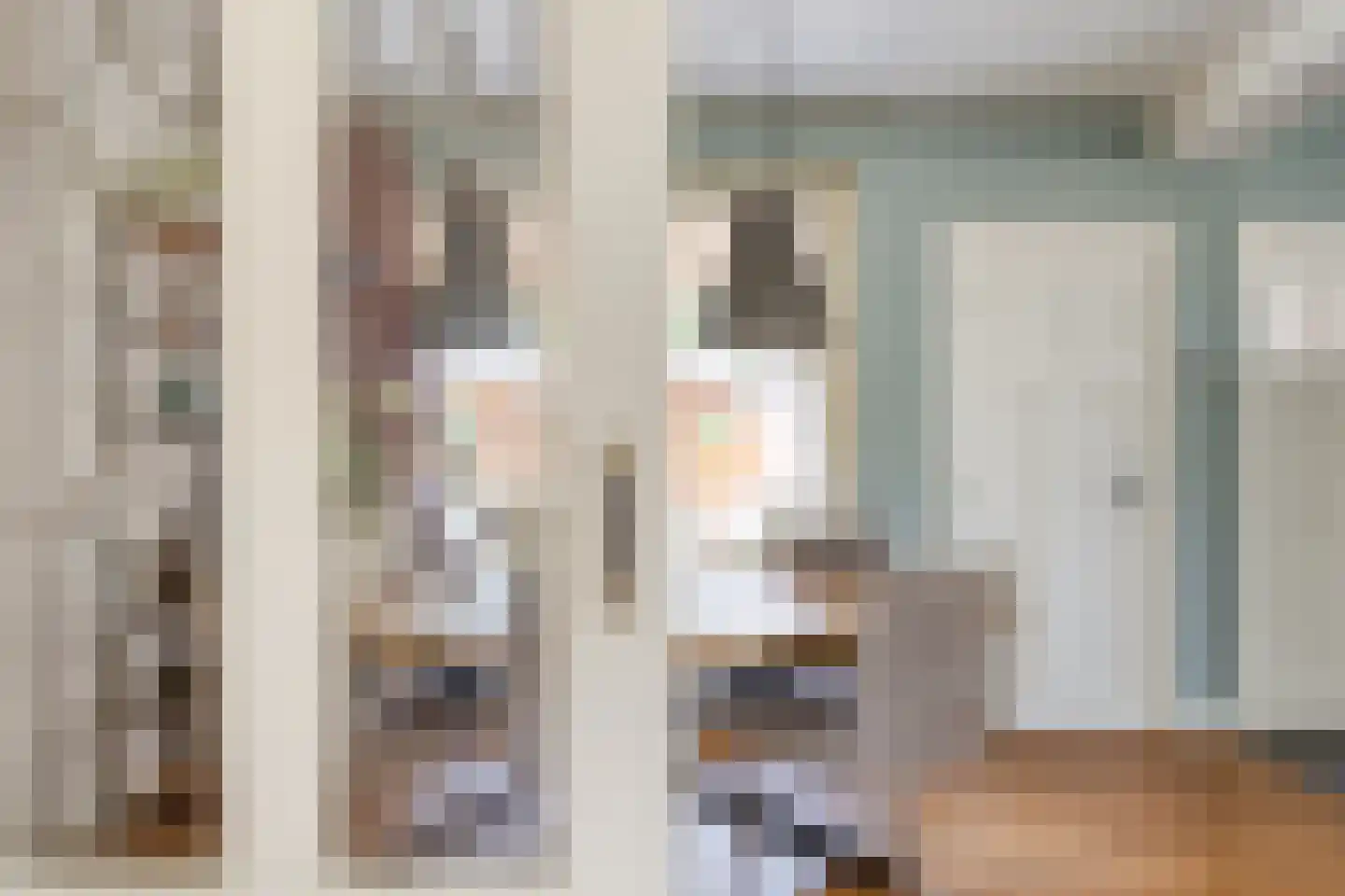 Burgem Moorenstraat 24 Haps thumbnail 12