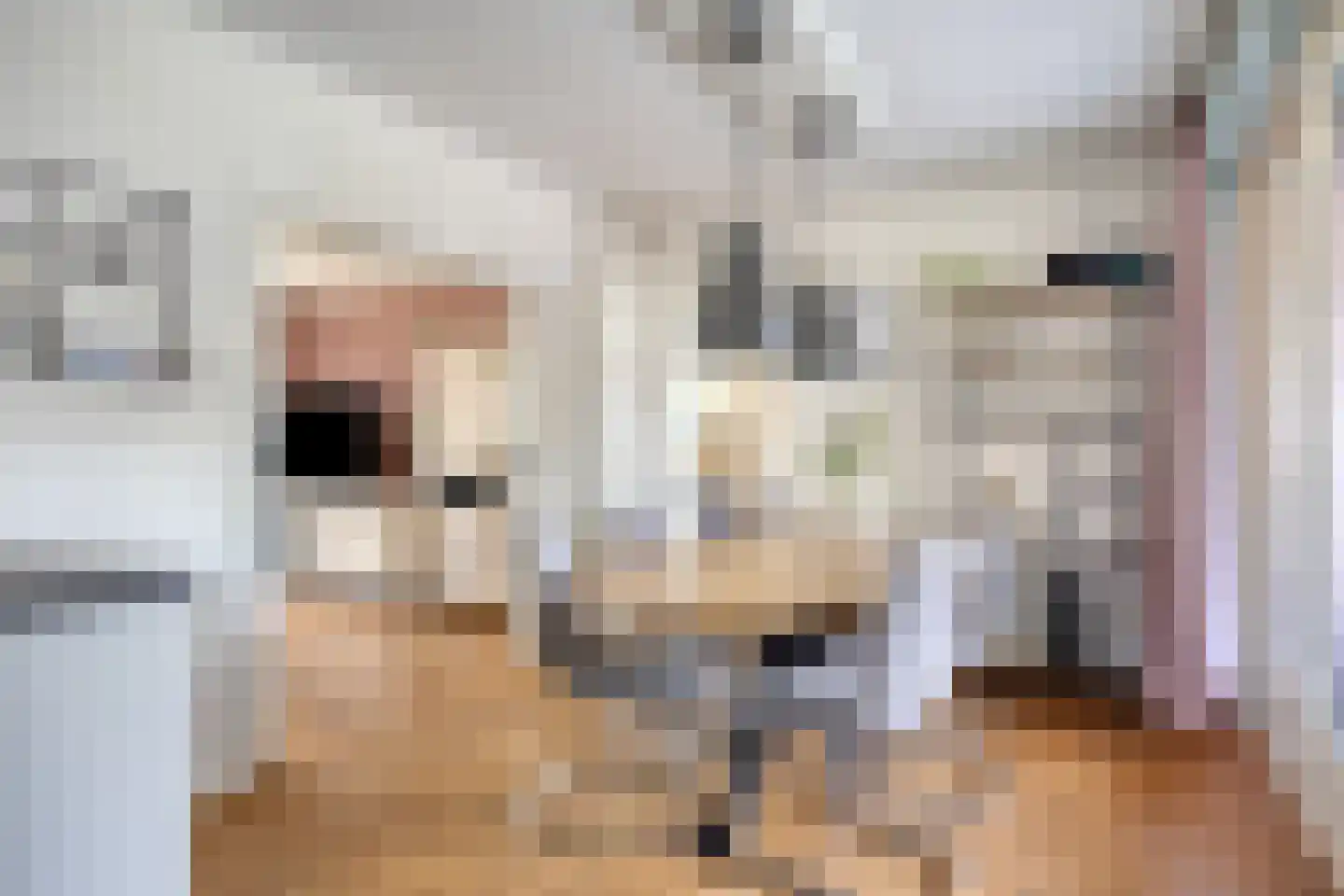 Burgem Moorenstraat 24 Haps thumbnail 13