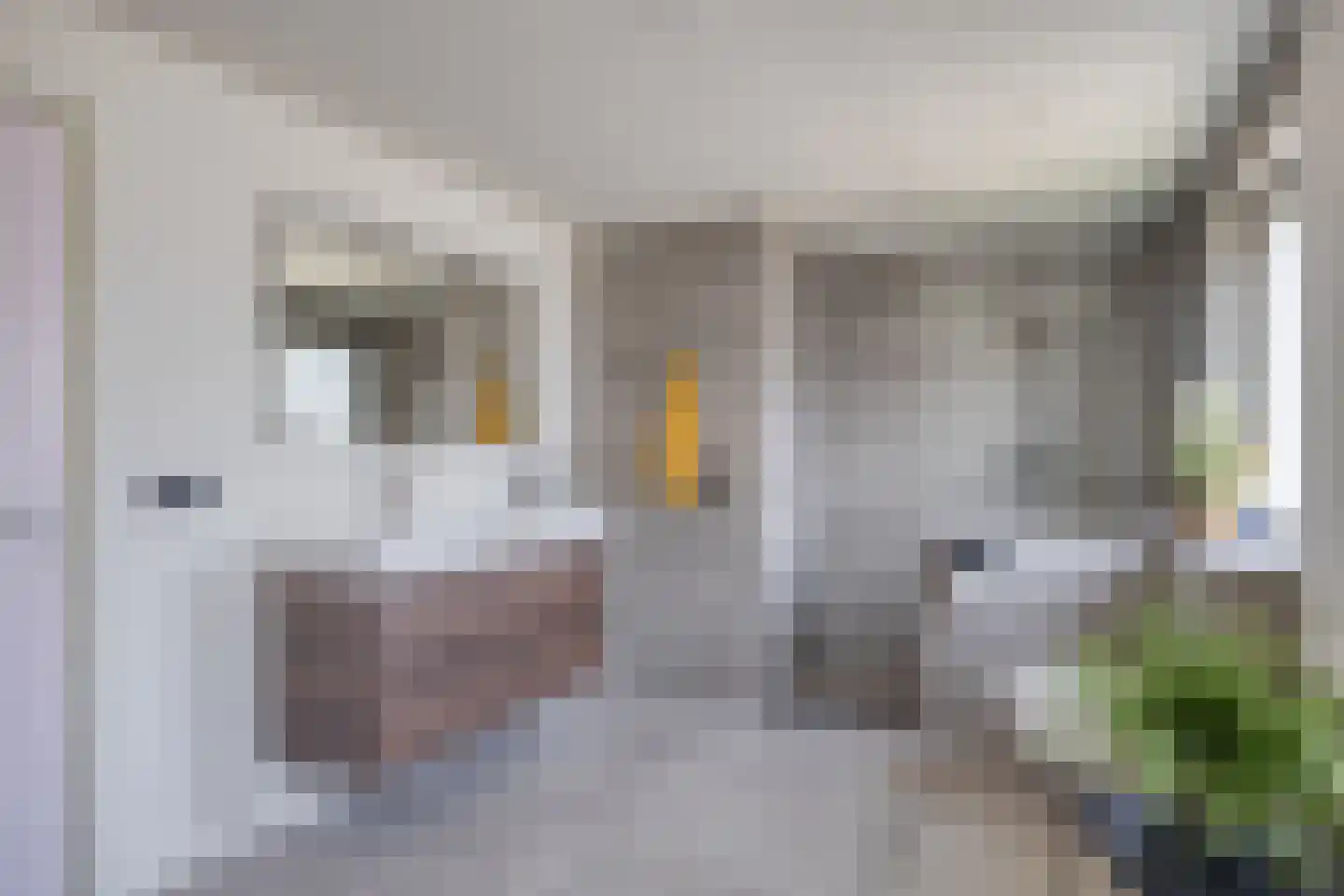 Burgem Moorenstraat 24 Haps thumbnail 29