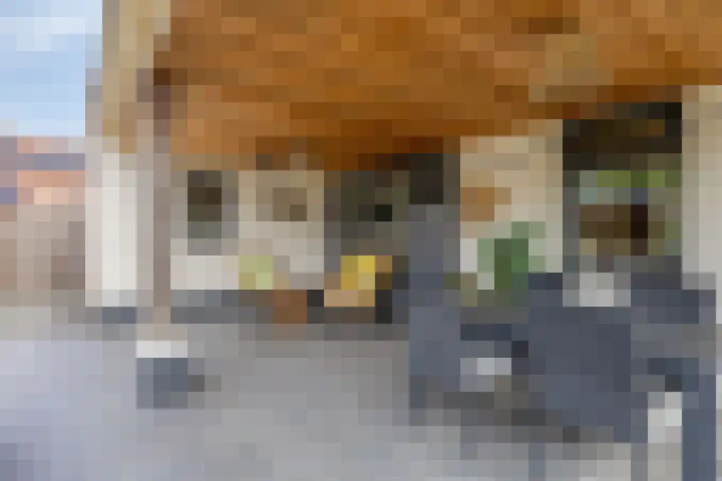 Burgem Moorenstraat 24 Haps thumbnail 36