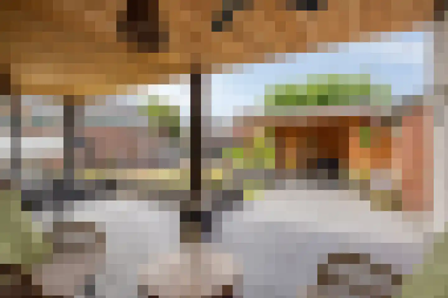 Burgem Moorenstraat 24 Haps thumbnail 37