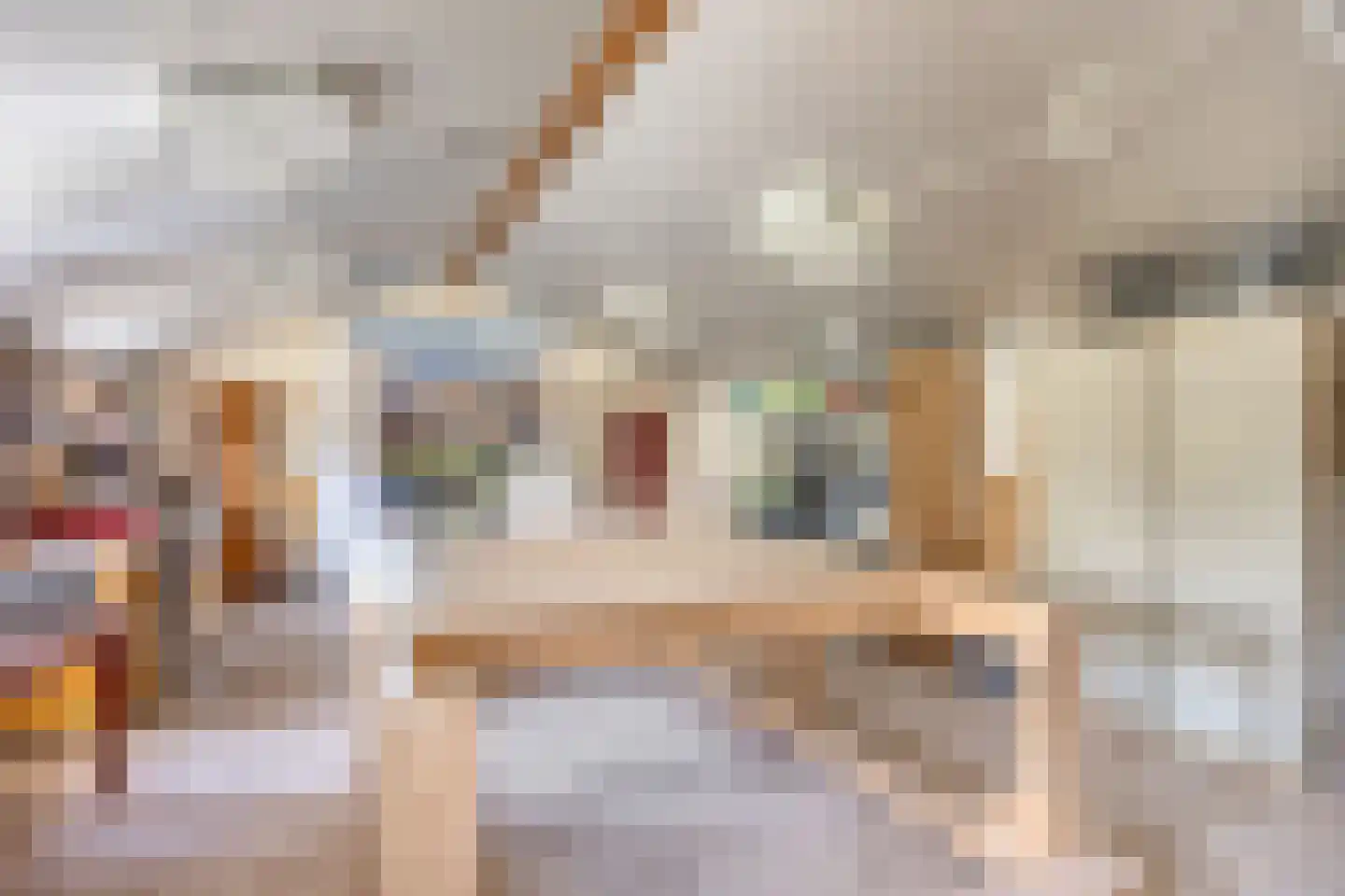 Burgem Moorenstraat 24 Haps thumbnail 47