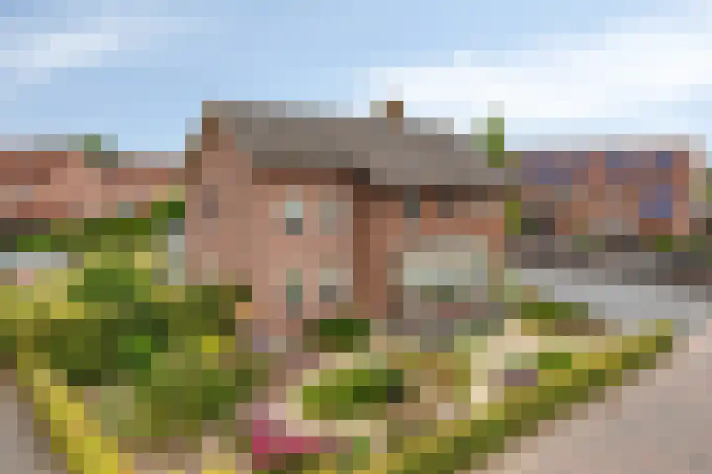 Burgem Moorenstraat 24 Haps thumbnail 5