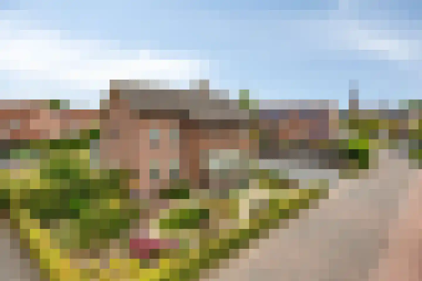 Burgem Moorenstraat 24 Haps thumbnail 50