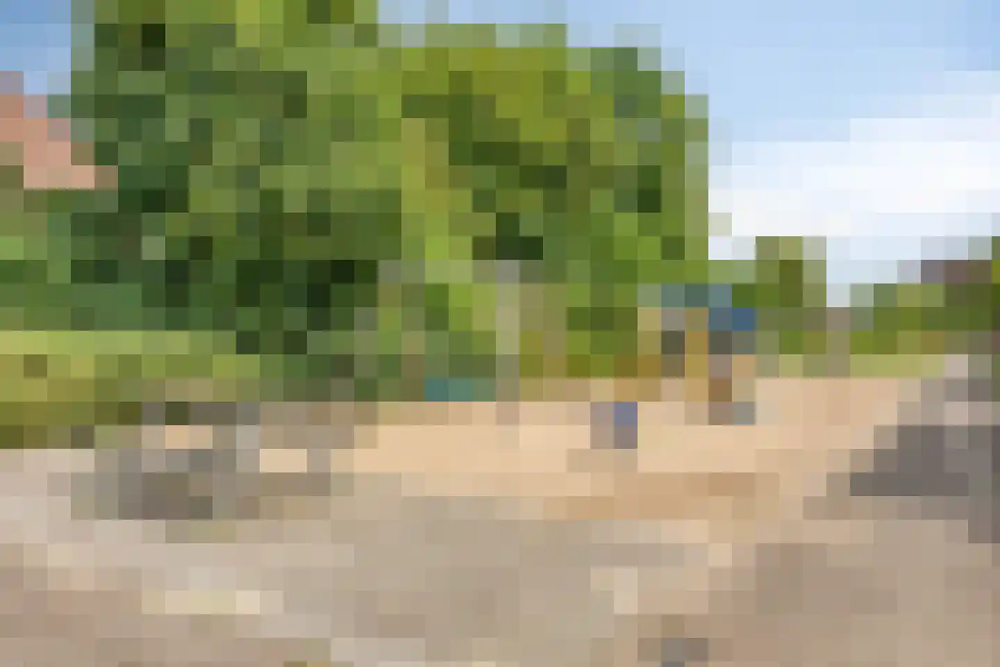 Burgem Moorenstraat 24 Haps thumbnail 51