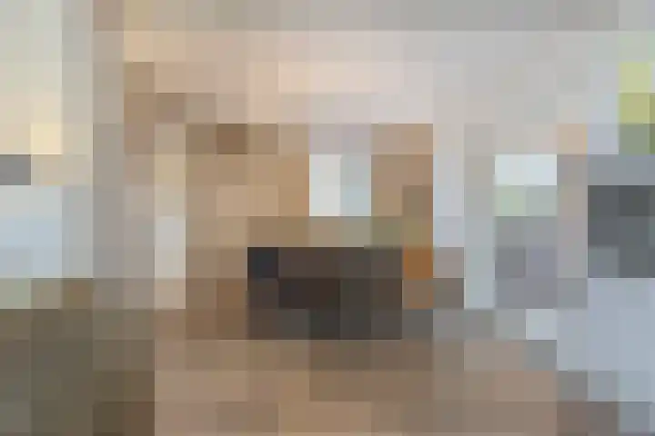 Burgem van Hultenstraat 24 Haps thumbnail 10