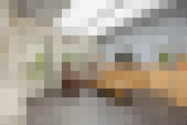 Burgem van Hultenstraat 24 Haps thumbnail 21