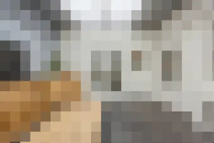 Burgem van Hultenstraat 24 Haps thumbnail 22