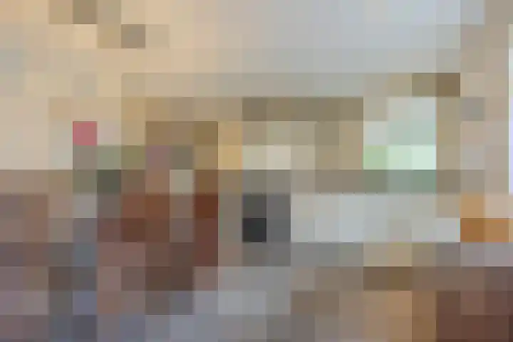Burgem van Hultenstraat 24 Haps thumbnail 4