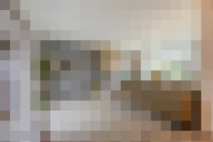 Burgem van Hultenstraat 24 Haps thumbnail 7